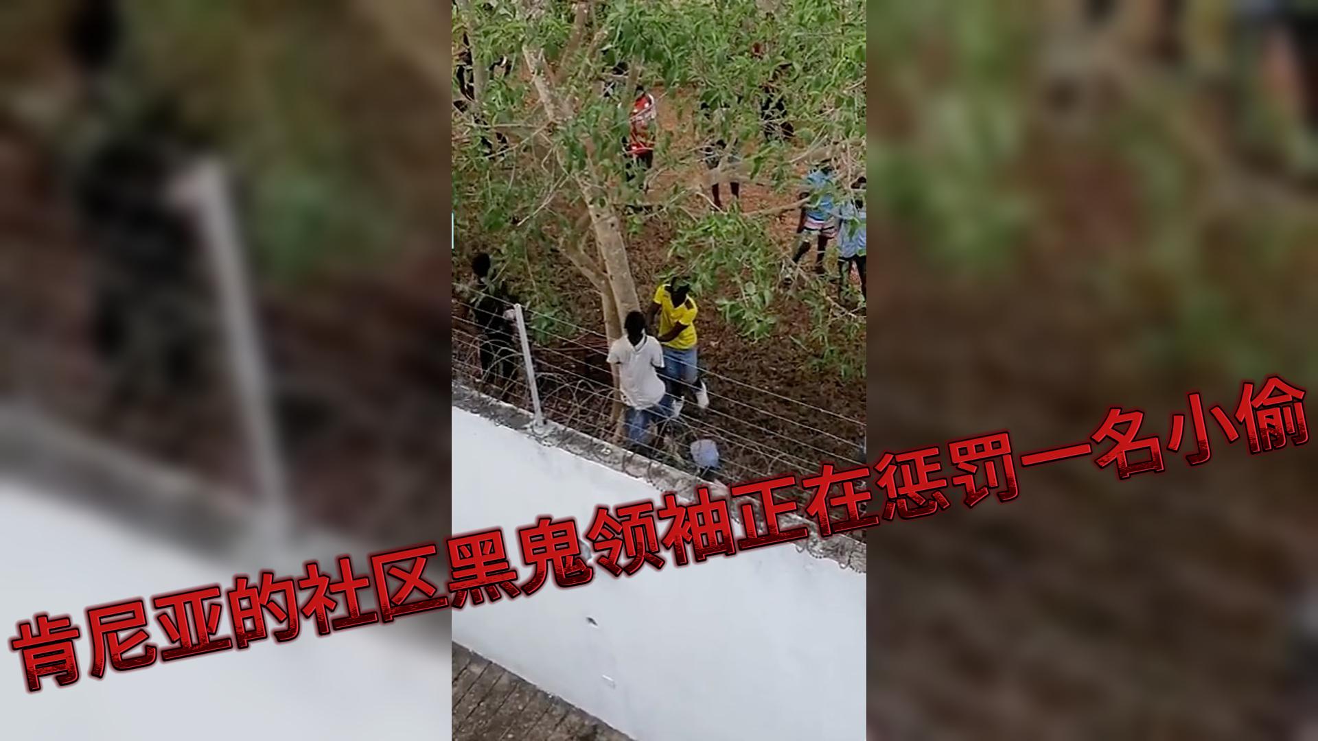 肯尼亚的社区黑鬼领袖正在惩罚一名小偷..