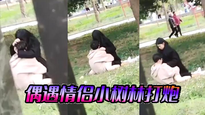 偶遇情侣小树林打炮.